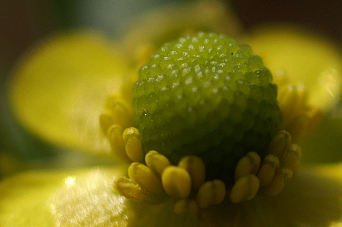 d0089024_2055779.jpg