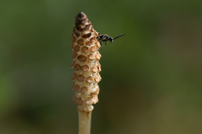 d0089024_20593338.jpg