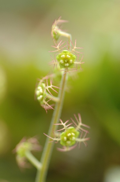 c0027027_2594956.jpg