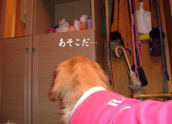 f0054731_0525134.jpg