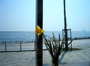 窓辺には花一輪花瓶に挿してありました。目の前が海の光景は、雰囲気だけは高級リゾート地ですよ。