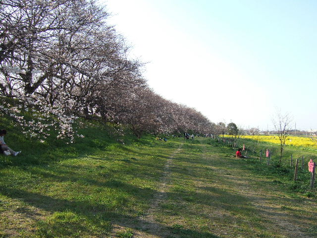 e0064133_19423772.jpg