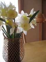 b0094236_14592141.jpg