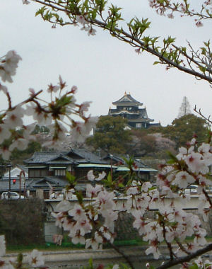 c0069036_0341663.jpg