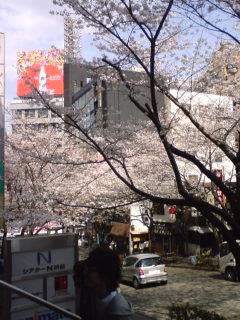 b0062337_1017329.jpg