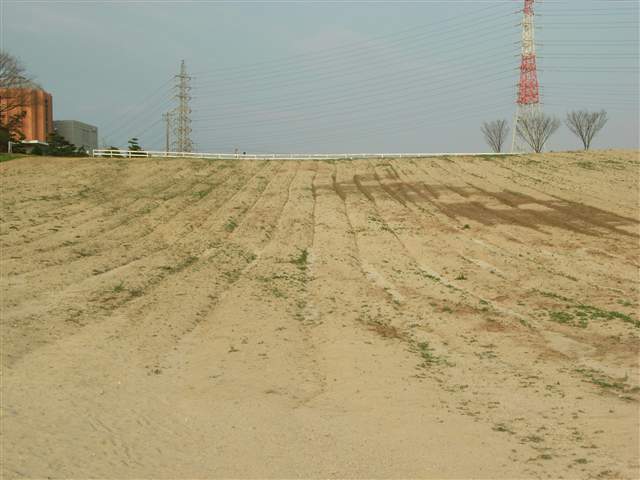 b0102639_23472225.jpg