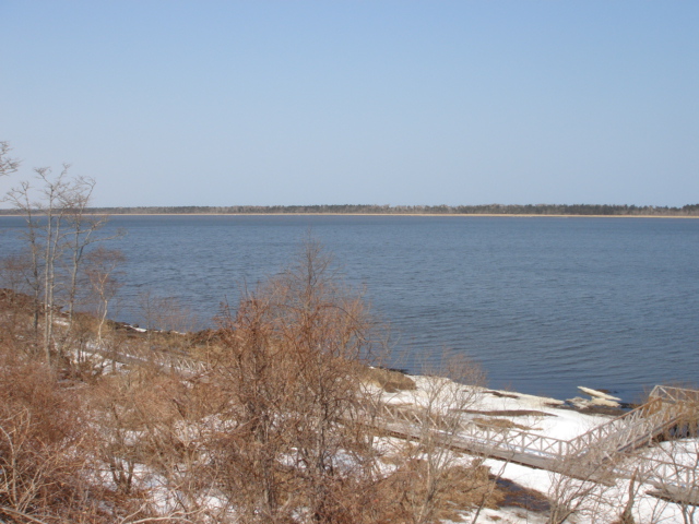 f0110439_1310258.jpg