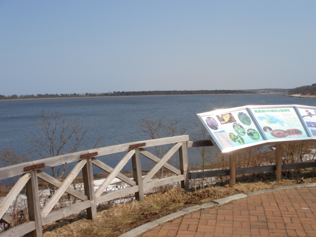 f0110439_1325117.jpg
