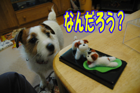 f0035044_17283927.jpg