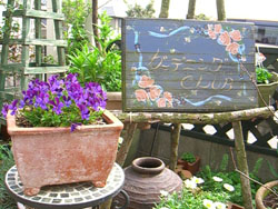 c0115145_21324.jpg