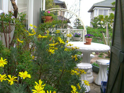 c0115145_21442144.jpg