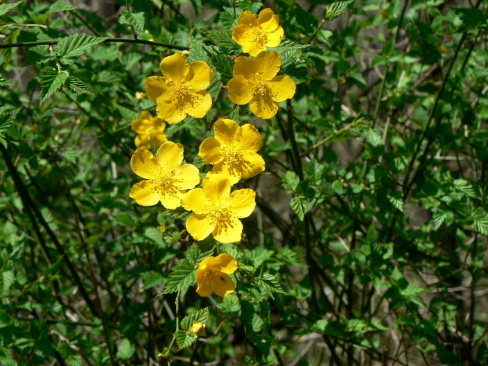 d0091754_22212943.jpg