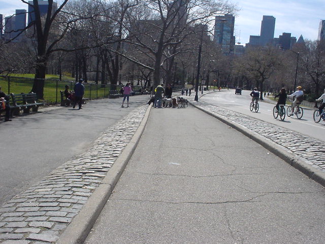 e0015154_82863.jpg