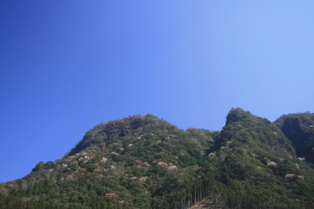 a0052156_214751.jpg