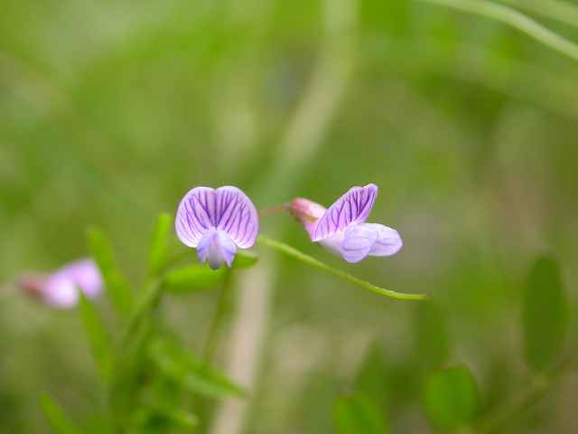 b0104861_2063871.jpg