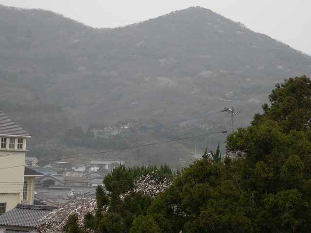 b0104861_2071590.jpg