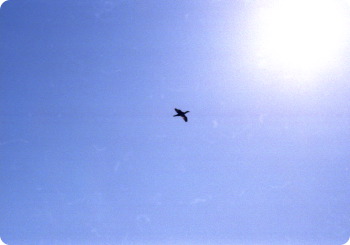 d0018865_0185980.jpg