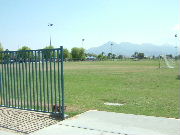 f0052071_109267.jpg