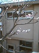 e0025074_16275283.jpg