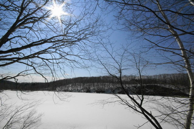 c0106977_18223923.jpg