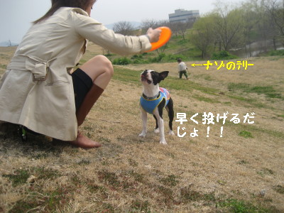c0092787_9474351.jpg