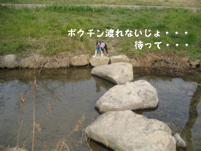 c0092787_9485857.jpg
