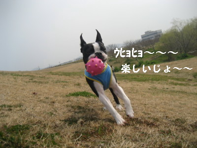 c0092787_948887.jpg