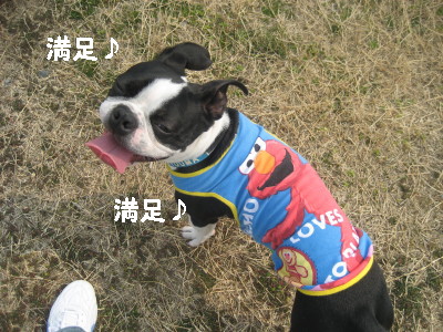 c0092787_9492139.jpg