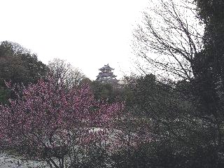 e0111793_1903562.jpg