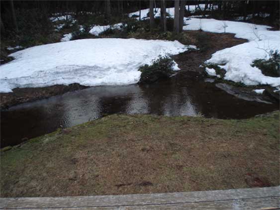 a0061599_725430.jpg