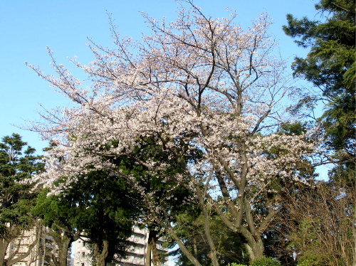 c0036203_20214065.jpg