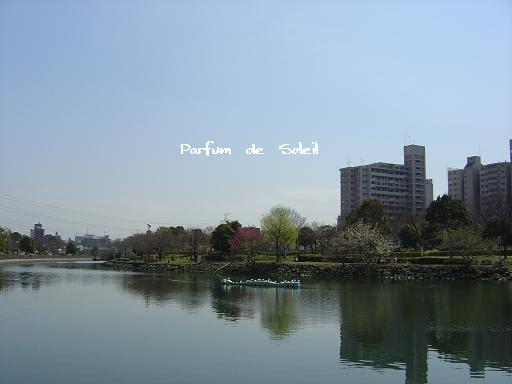 d0087503_10311956.jpg