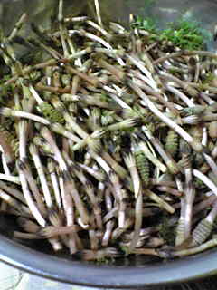 c0103205_23202671.jpg