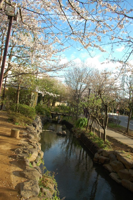 a0099808_2310711.jpg