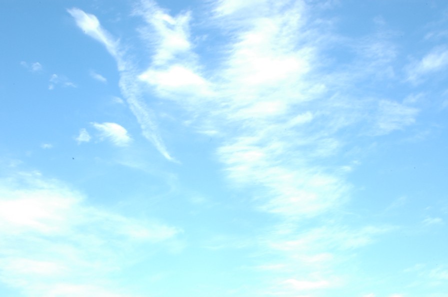 a0099808_2334443.jpg