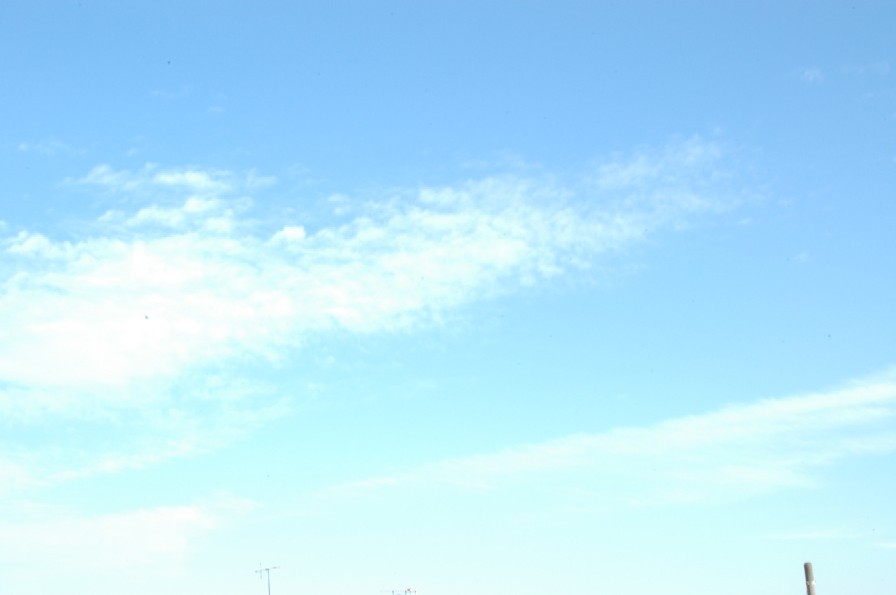 a0099808_2341618.jpg
