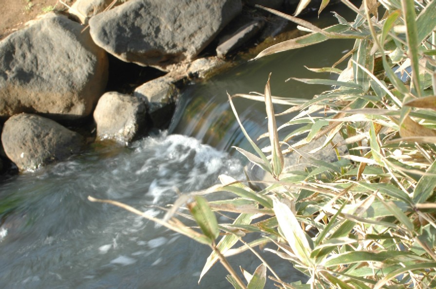 a0099808_234425.jpg