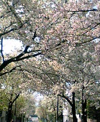 b0048616_18501659.jpg