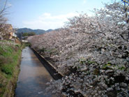 c0115019_23255384.jpg