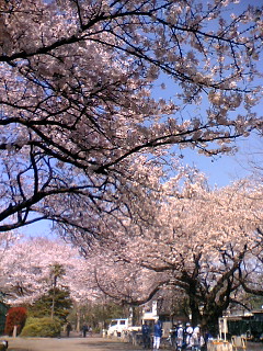 d0024220_14473249.jpg