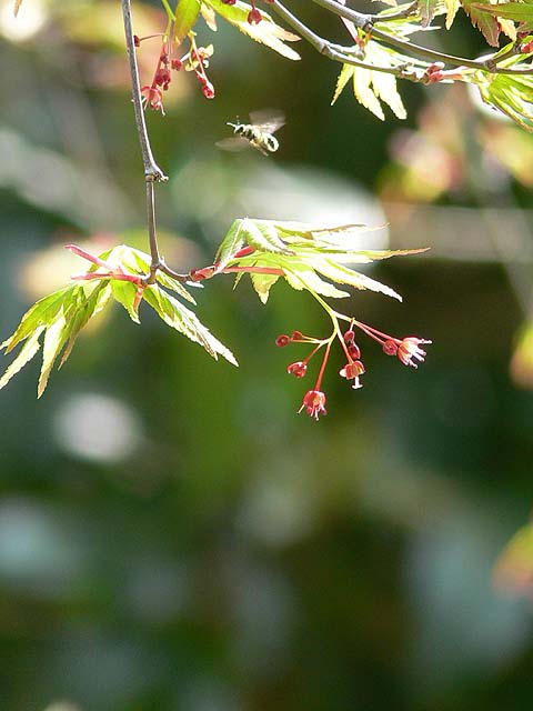 a0040522_041129.jpg