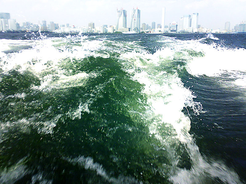 c0079325_11243192.jpg