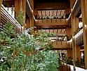 c0051529_231211.jpg