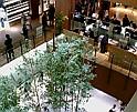 c0051529_2312893.jpg