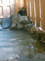 b0080033_0502383.gif