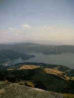 b0080033_1202964.gif