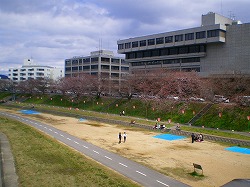 a0055835_18235489.jpg
