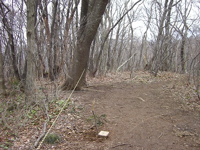 f0003138_1193023.jpg