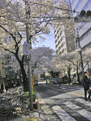 f0032340_23392315.jpg