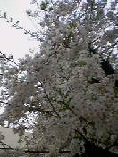 d0023742_14503910.jpg